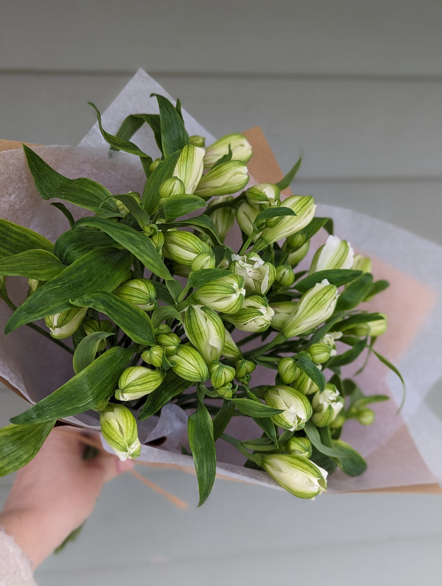 Monthly Flower Subscriptions March Bloom Therapy