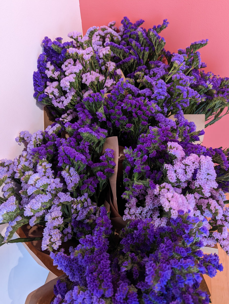 Monthly Flower Subscriptions May Bloom Therapy